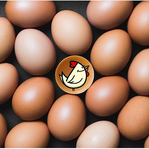 Mipoller&iacute;a Le&oacute;n 7