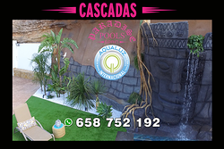 Galería de imágenes