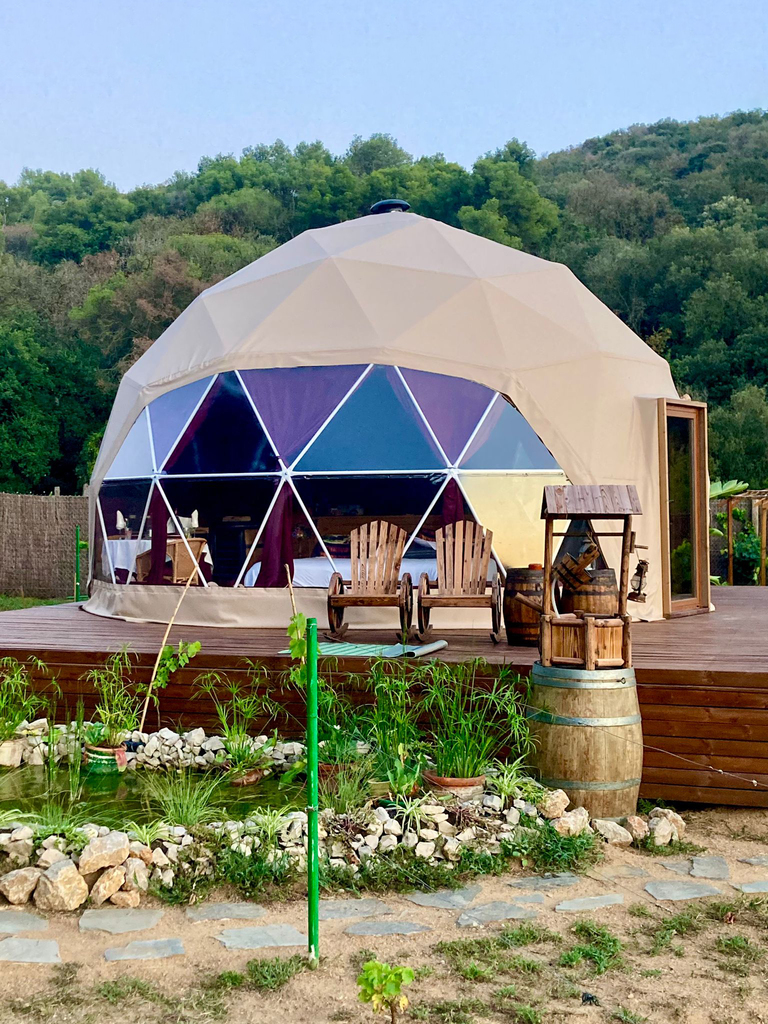 Dalia Dome SL 8