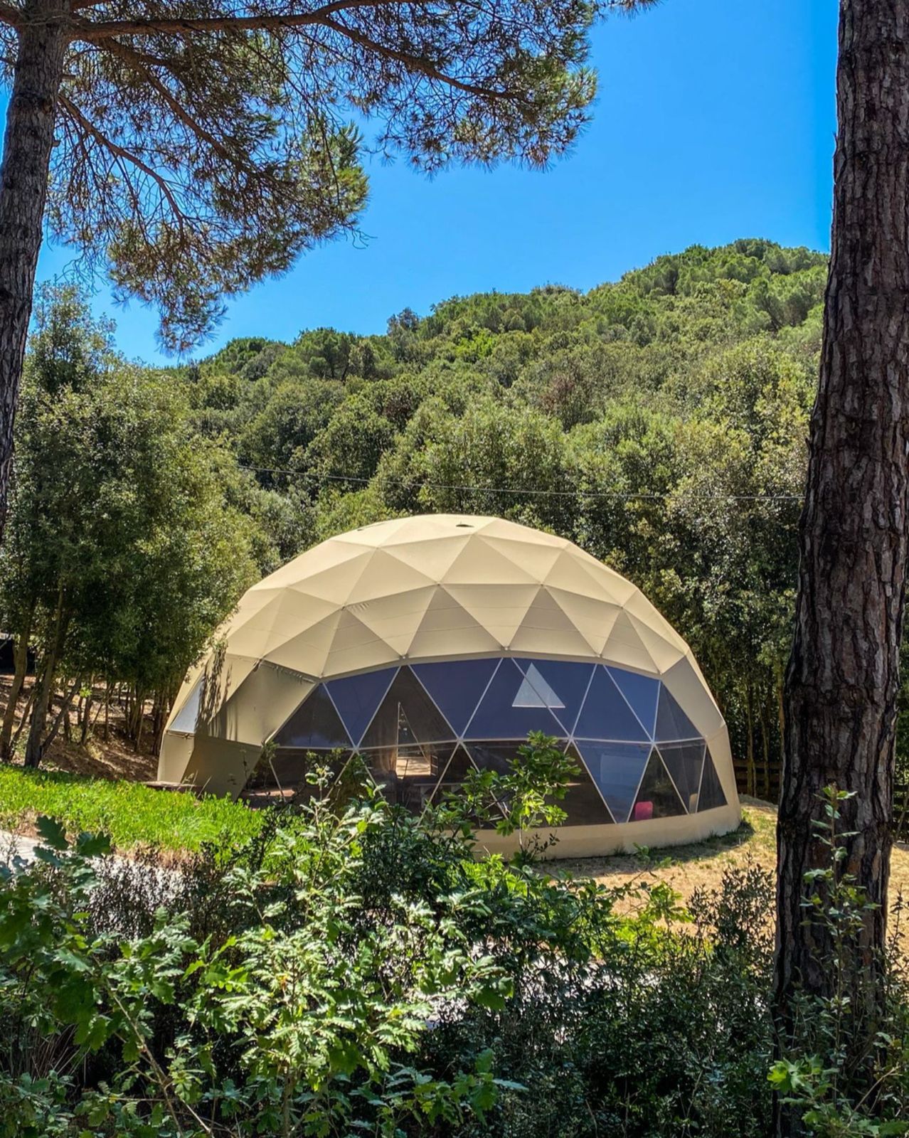Dalia Dome SL 4