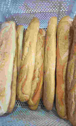 Galería de imágenes