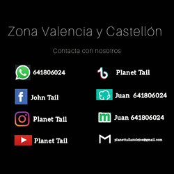 Galería de imágenes