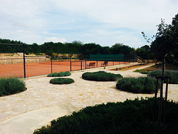 Galería de imágenes