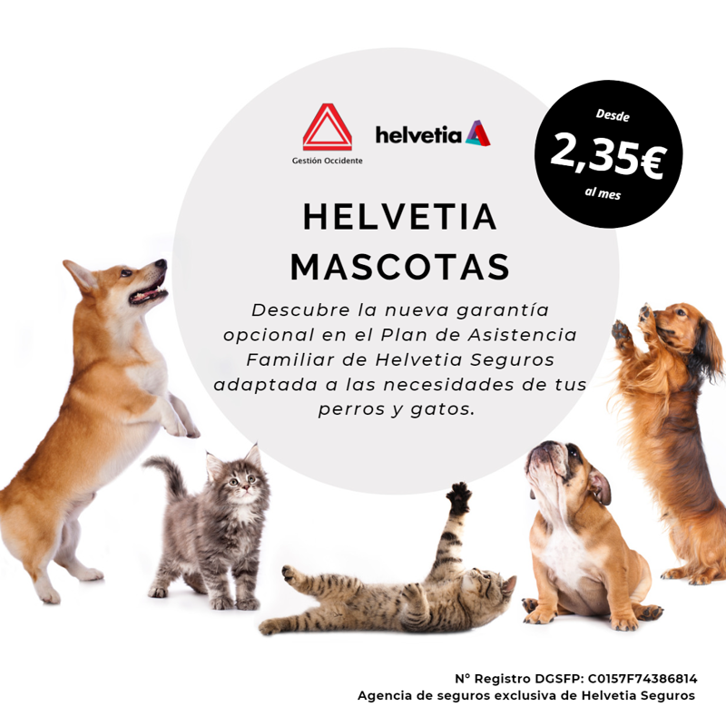 Gestión Occidente 8