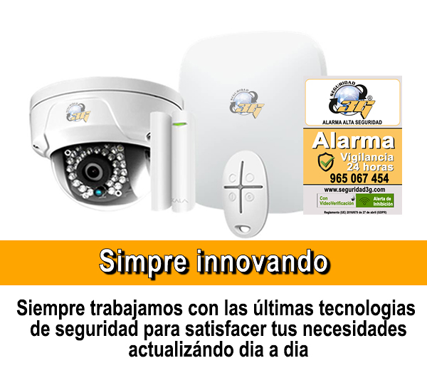 Seguridad 3g SEGURIDAD Y VIGILANCIA: EMPRESAS