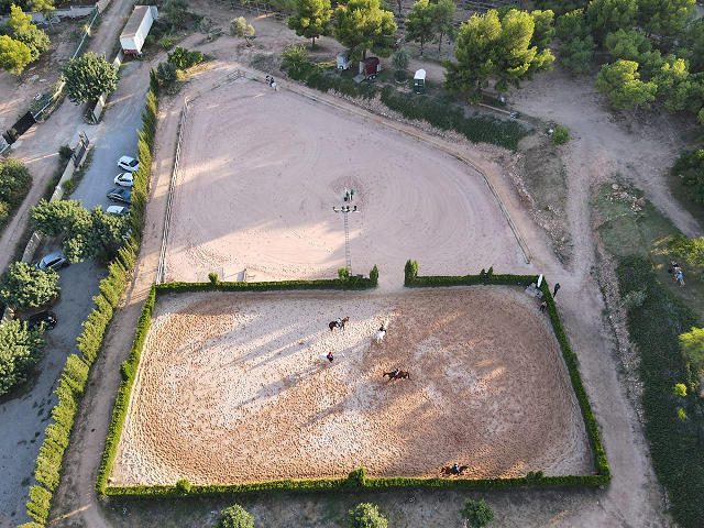 Centro Hipico Equilive 2