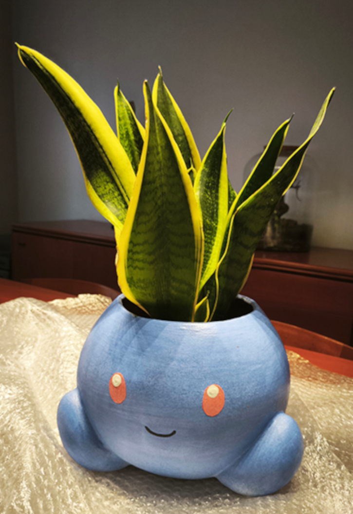 Galería de imágenes