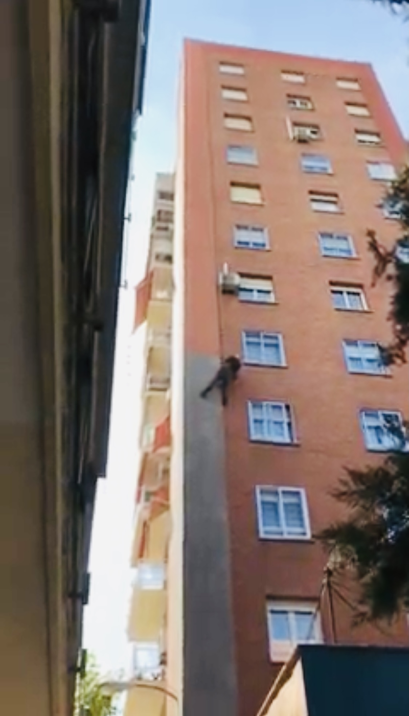 Madrid Trabajos Verticales 15