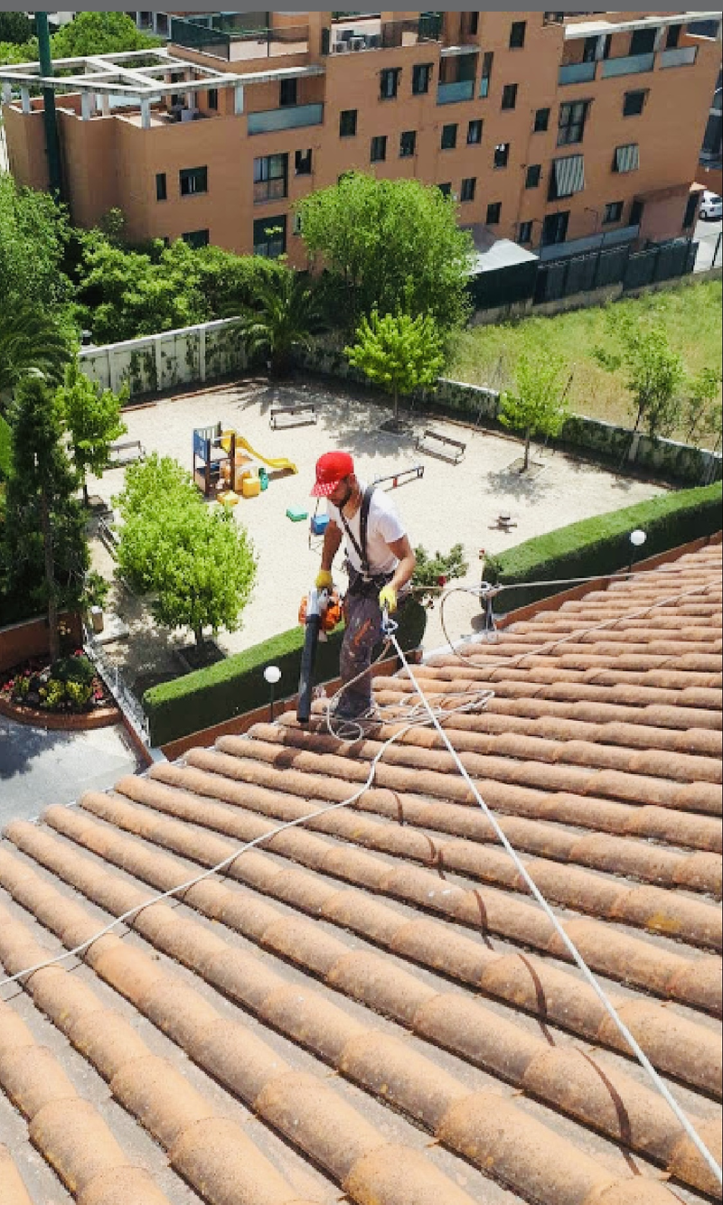 Madrid Trabajos Verticales 17