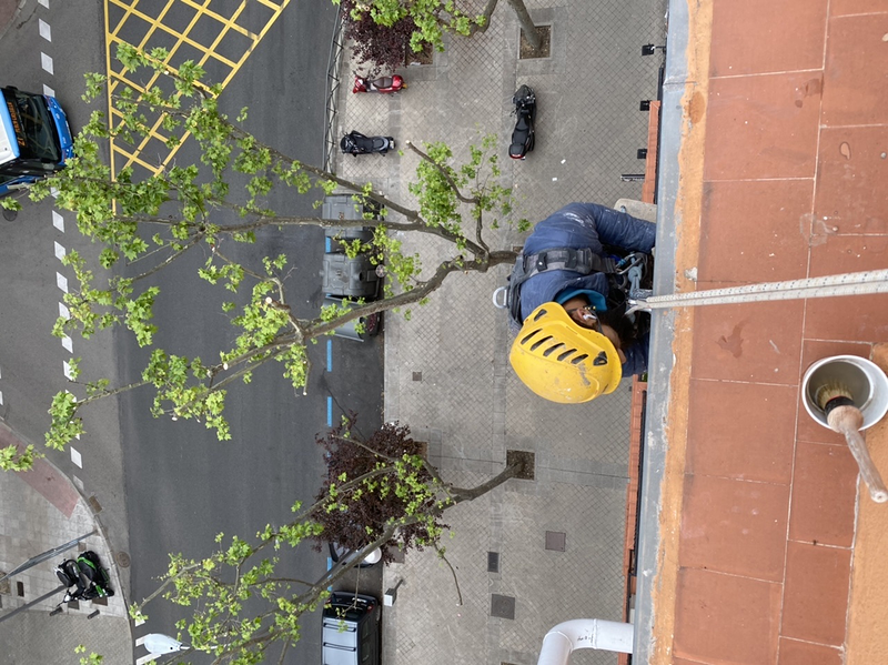 Madrid Trabajos Verticales 4