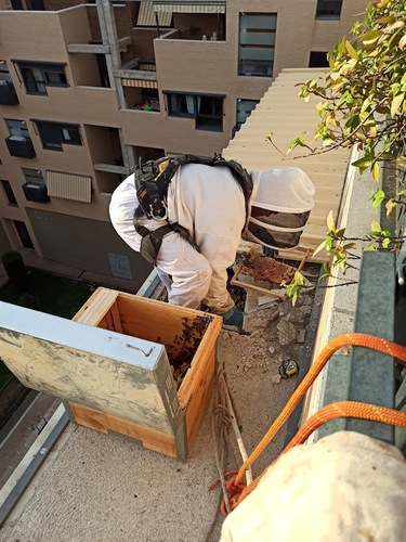 Galería de imágenes