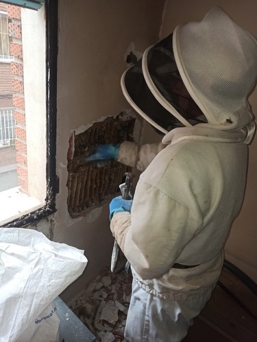 Galería de imágenes