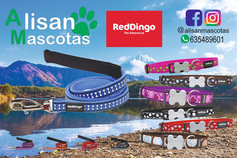 Alisan Mascotas 5