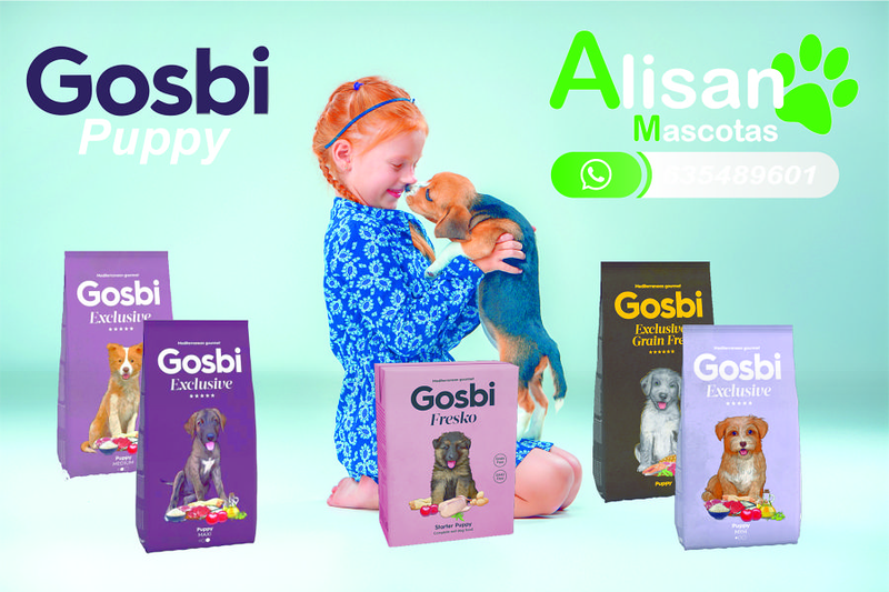 Alisan Mascotas Benigànim