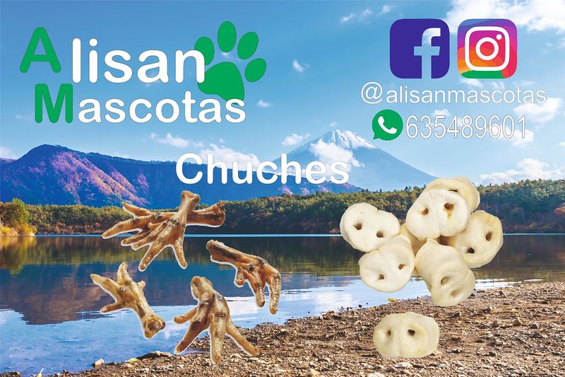 Alisan Mascotas 8