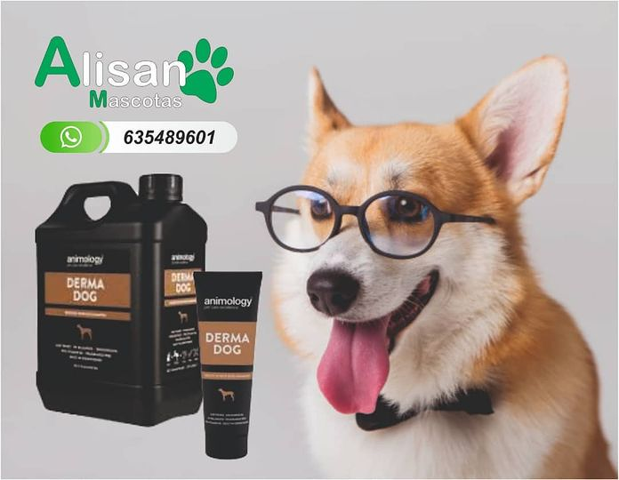 Alisan Mascotas 6