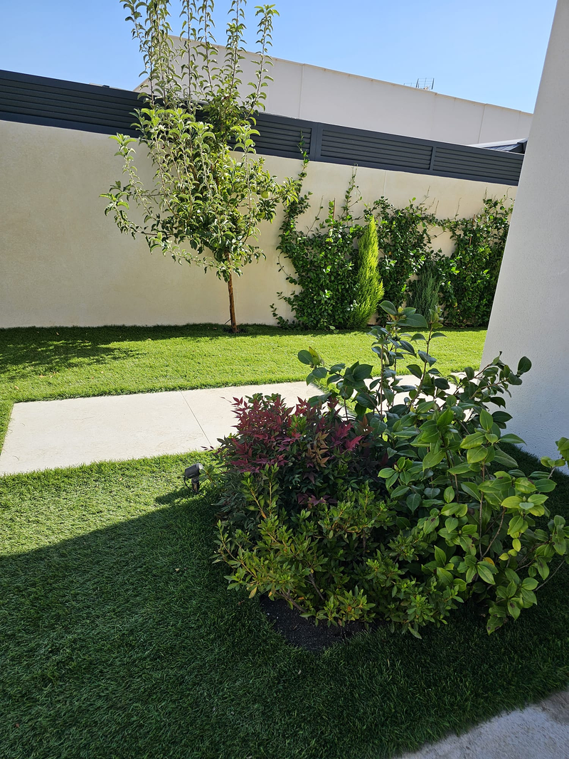 Paisajistasyjardineros.Es 10