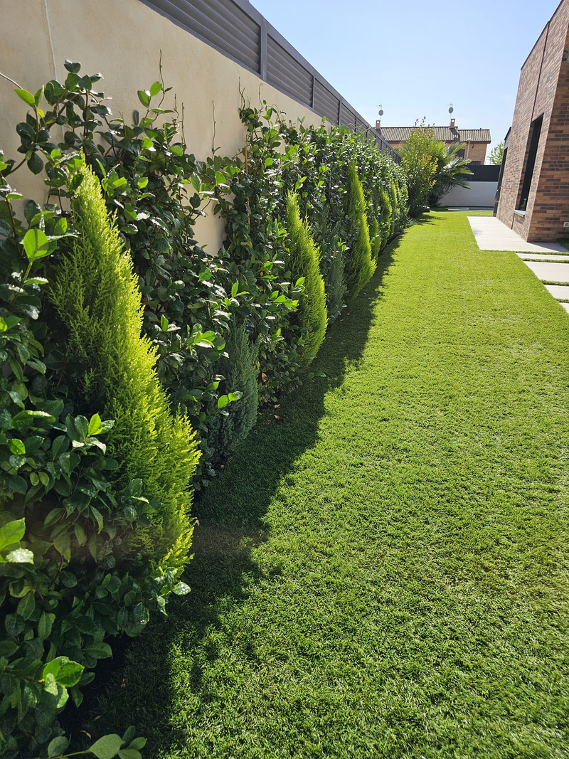 Paisajistasyjardineros.Es 8