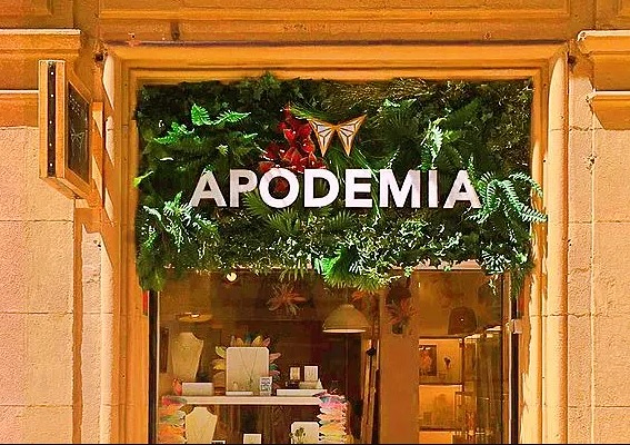 Paisajistasyjardineros.Es 3