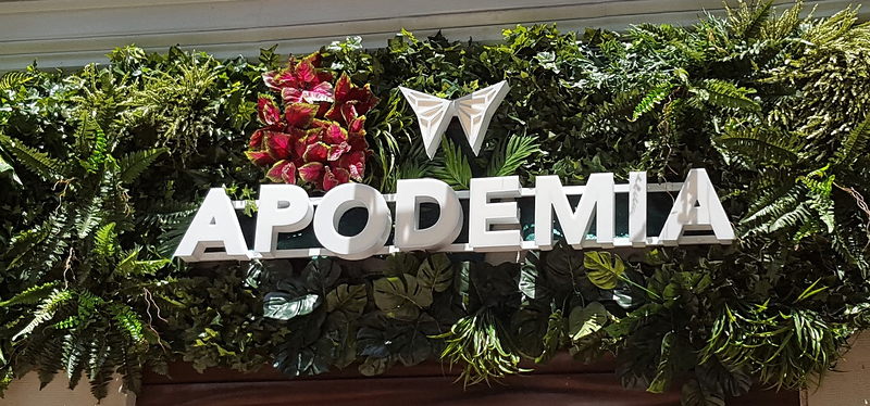 Paisajistasyjardineros.Es 7