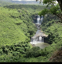 Galería de imágenes