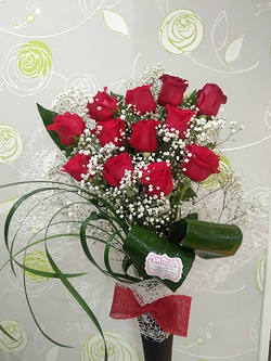 Galería de imágenes