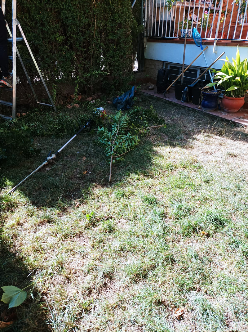 Mundo Verde Paisajismo 8