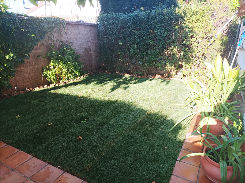 Mundo Verde Paisajismo Granada