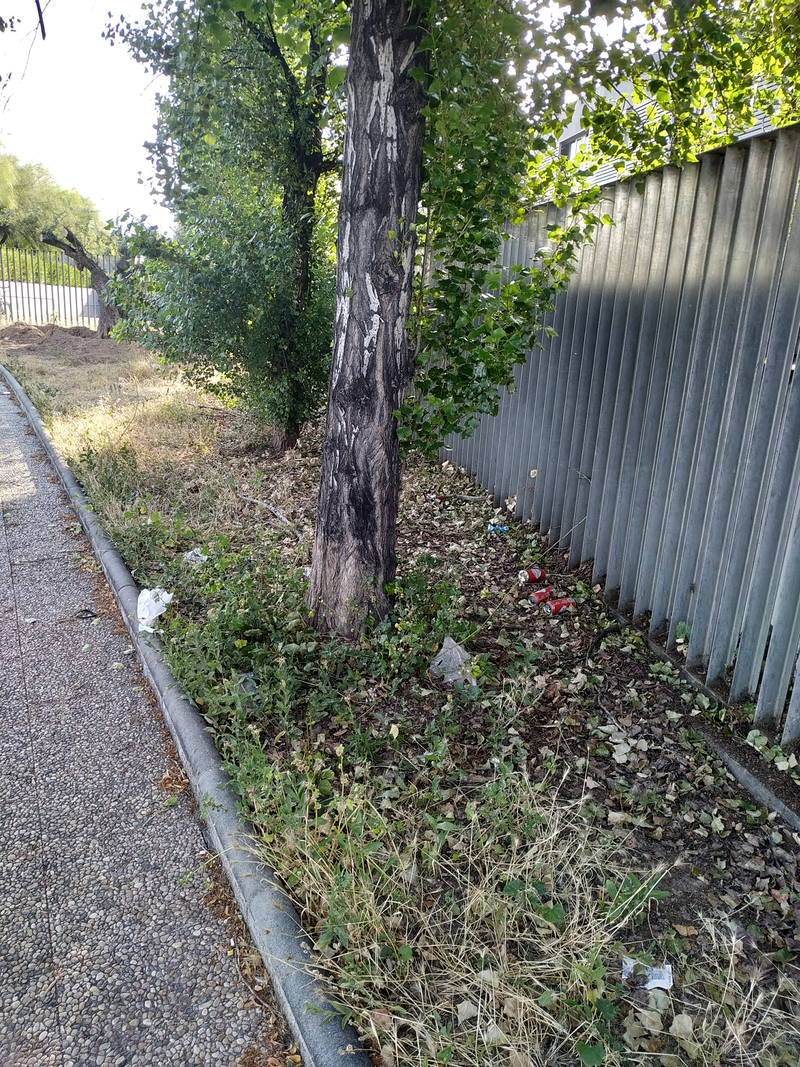 Mundo Verde Paisajismo 6