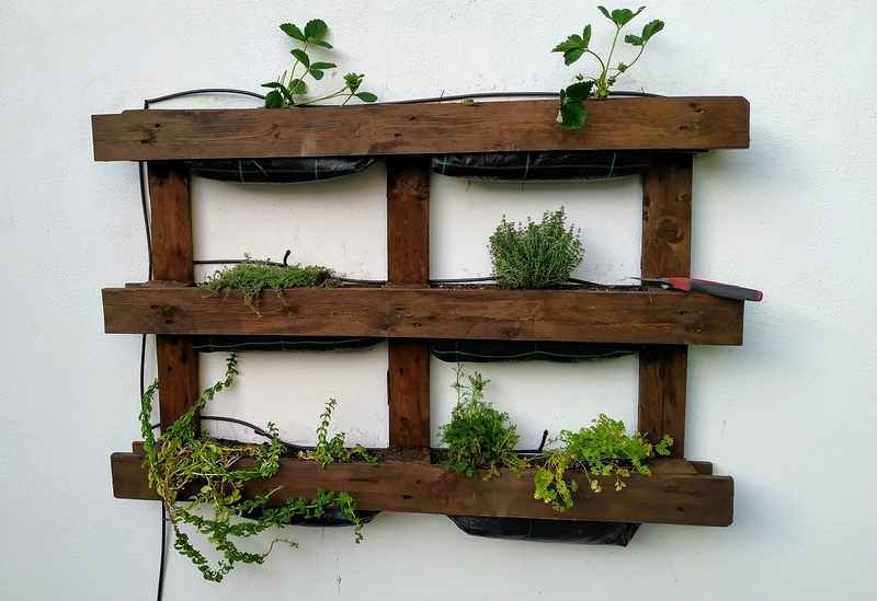 Mundo Verde Paisajismo 3