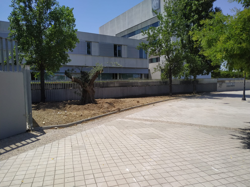 Mundo Verde Paisajismo 9