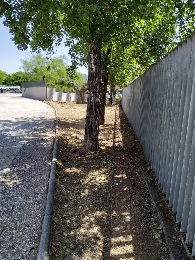 Mundo Verde Paisajismo 4