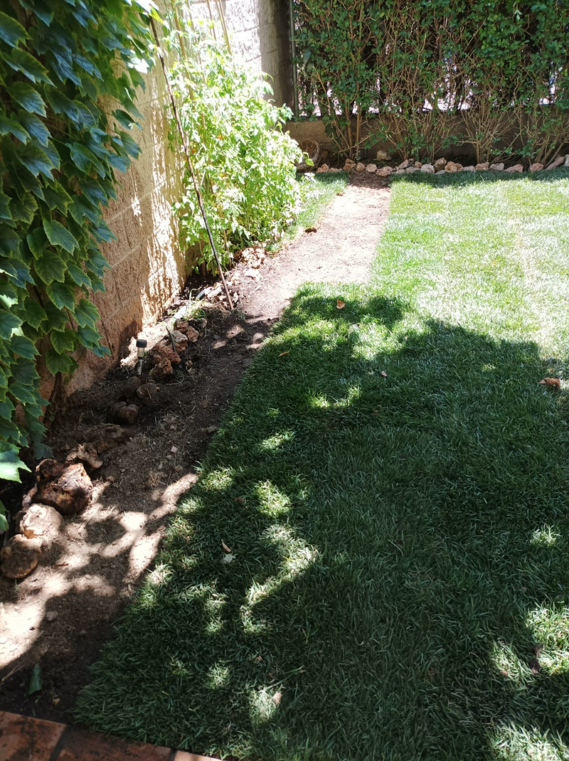 Mundo Verde Paisajismo 2