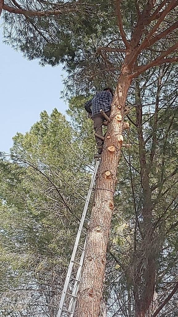Jardiner&iacute;a Guidopilco 4