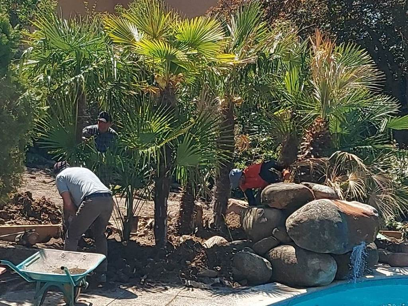 Jardiner&iacute;a Guidopilco 6