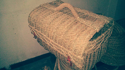 Galería de imágenes