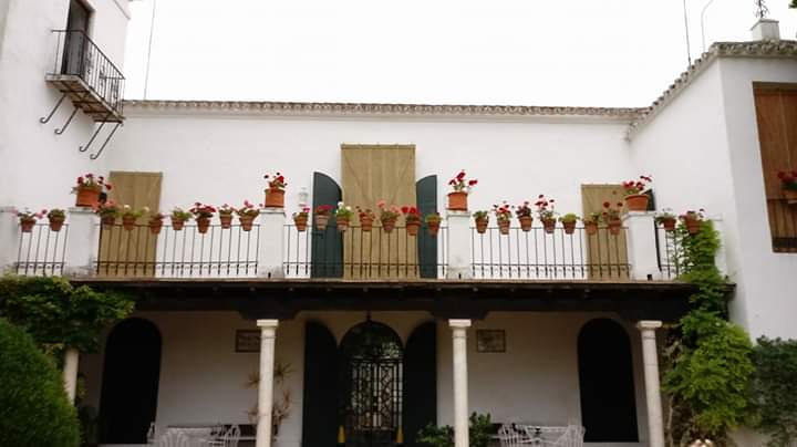 Esparto Jose M&ordf; Serrano 22