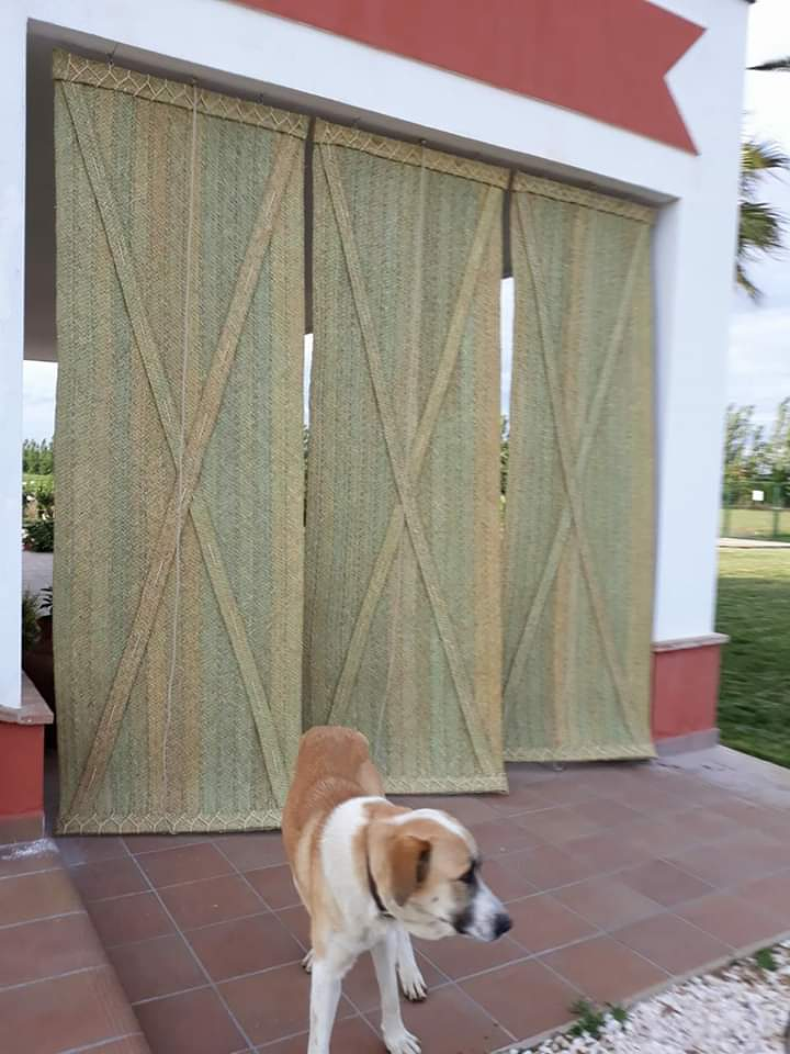 Esparto Jose M&ordf; Serrano 7