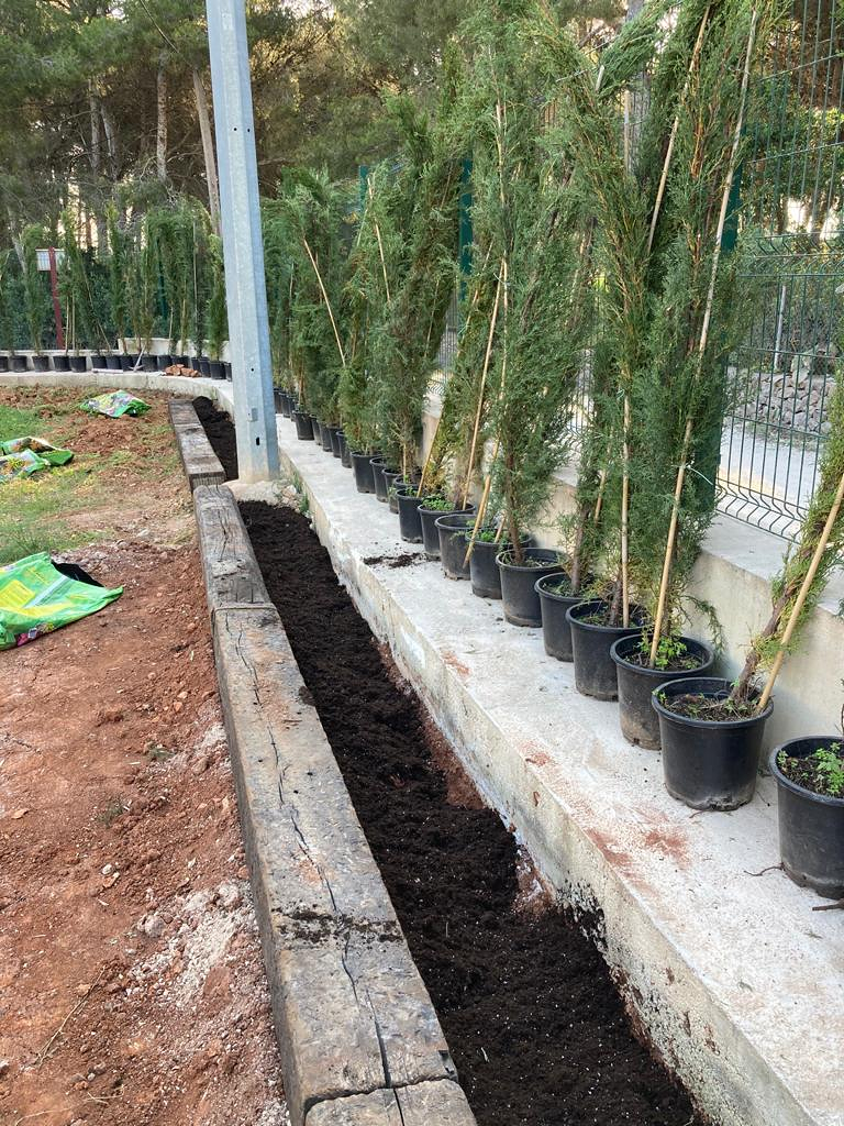 Miguel Mata Garden & Pool 5