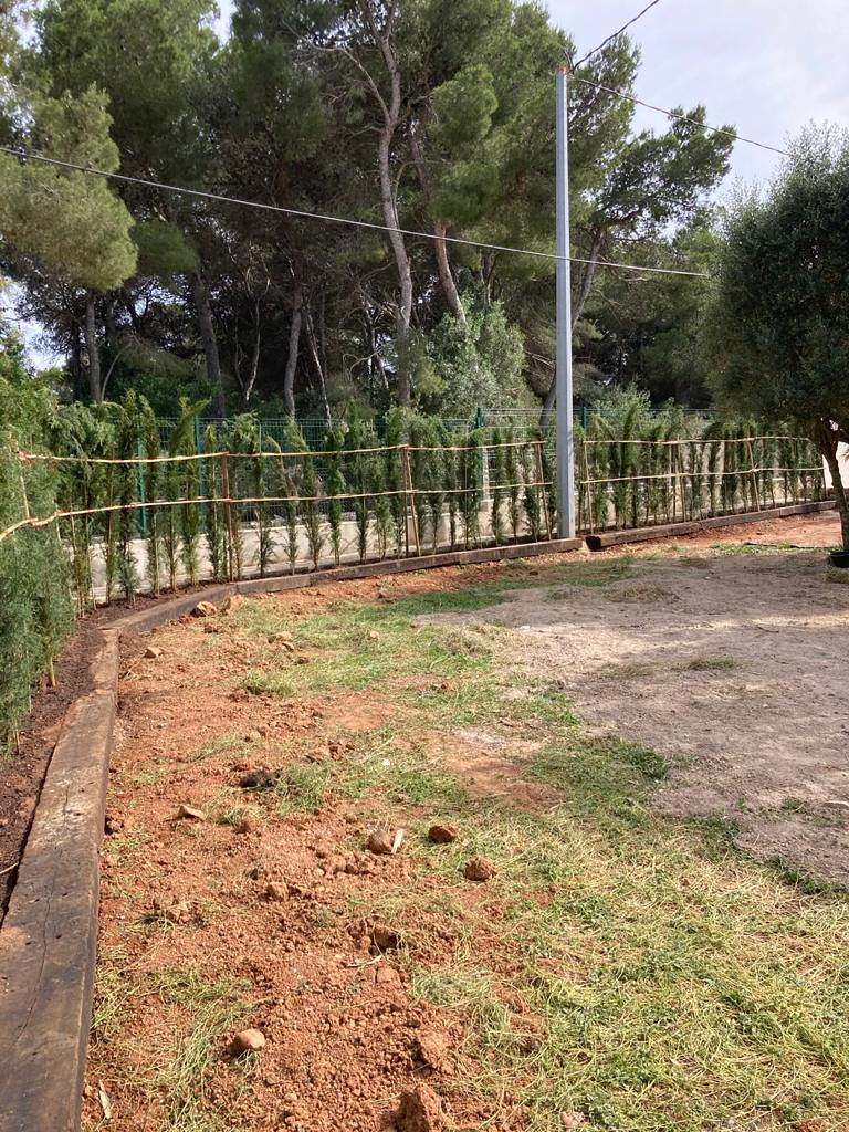 Miguel Mata Garden & Pool 7