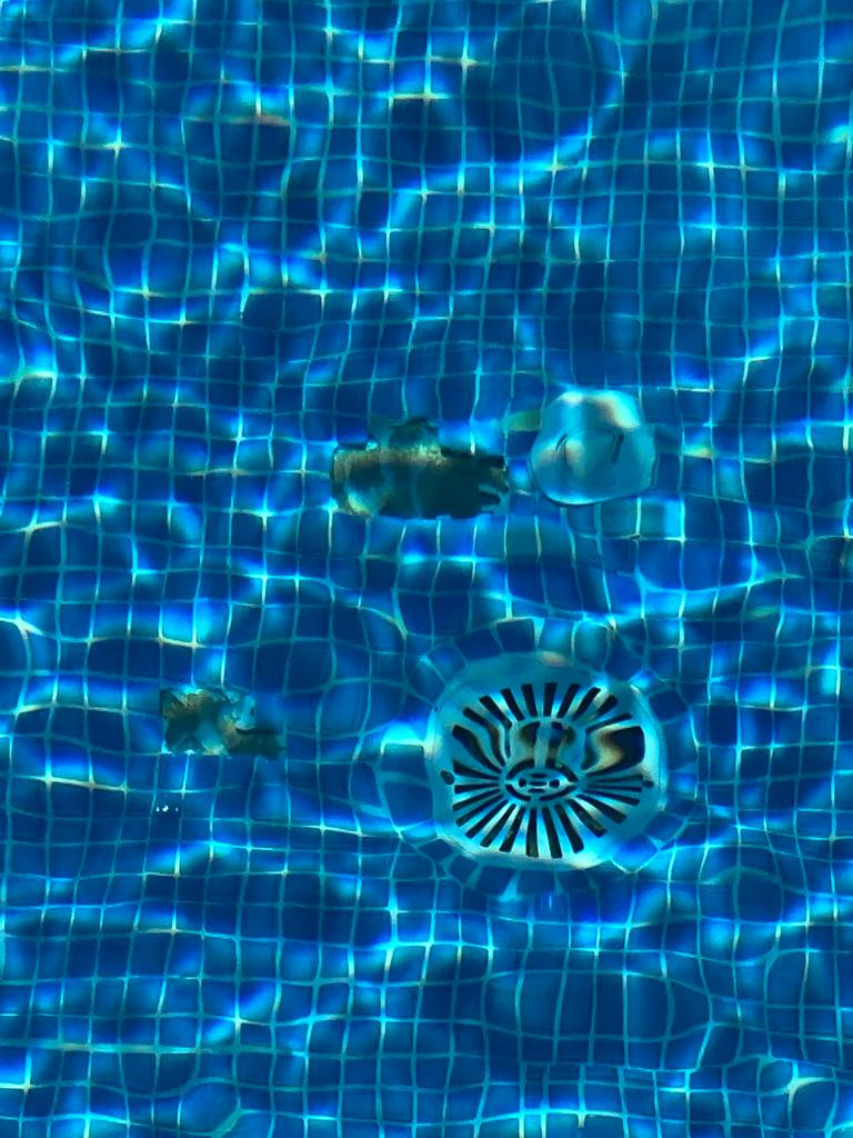 Miguel Mata Garden & Pool Xàbia/Jávea