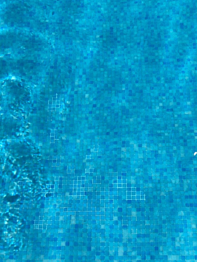 Miguel Mata Garden & Pool 3