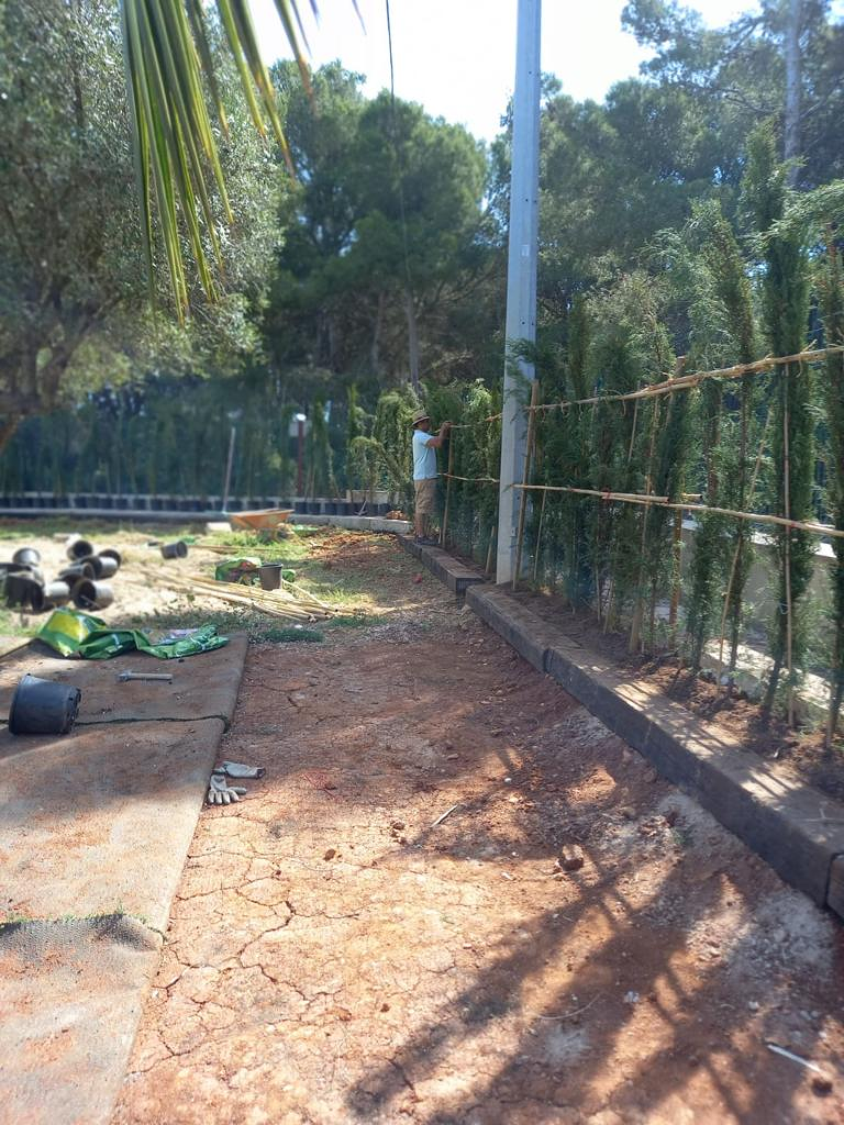 Miguel Mata Garden & Pool 6