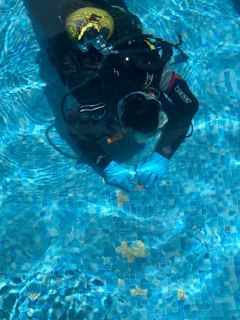 Miguel Mata Garden & Pool 2