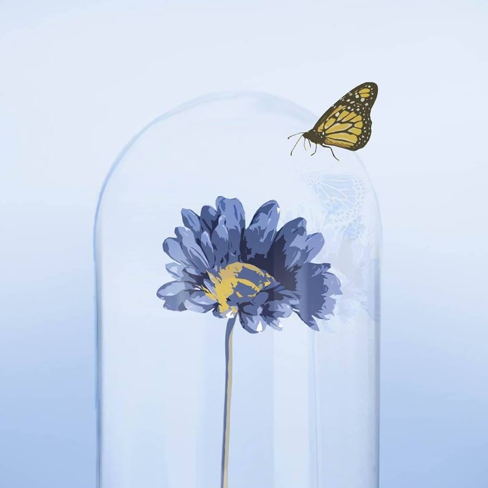 Asoc Padres Niños Autistas de Don Benito