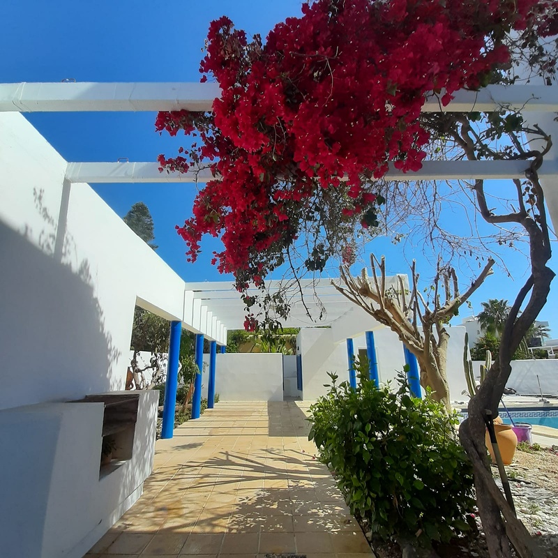 Multiservicios Vera Andalucia 13