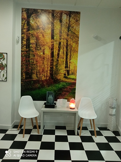 Galería de imágenes