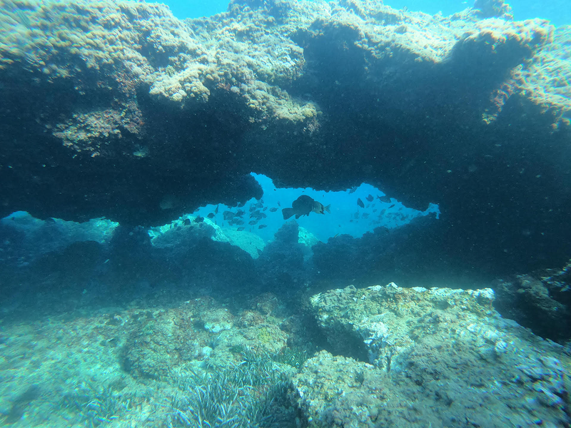 Centro Buceo Altair 9