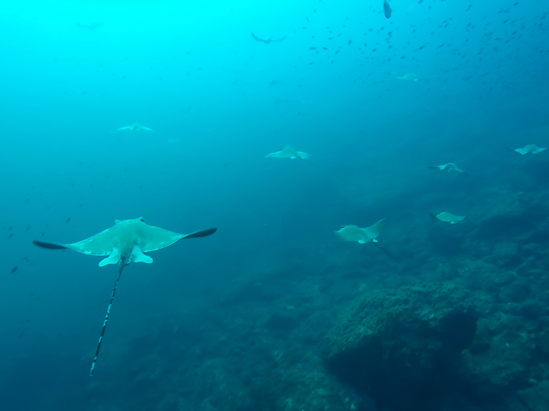 Centro Buceo Altair 8
