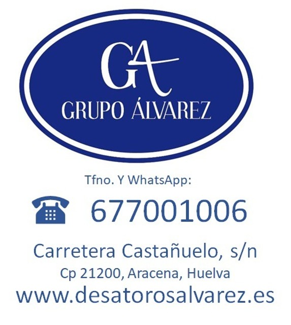 Desatascos &Aacute;lvarez 4